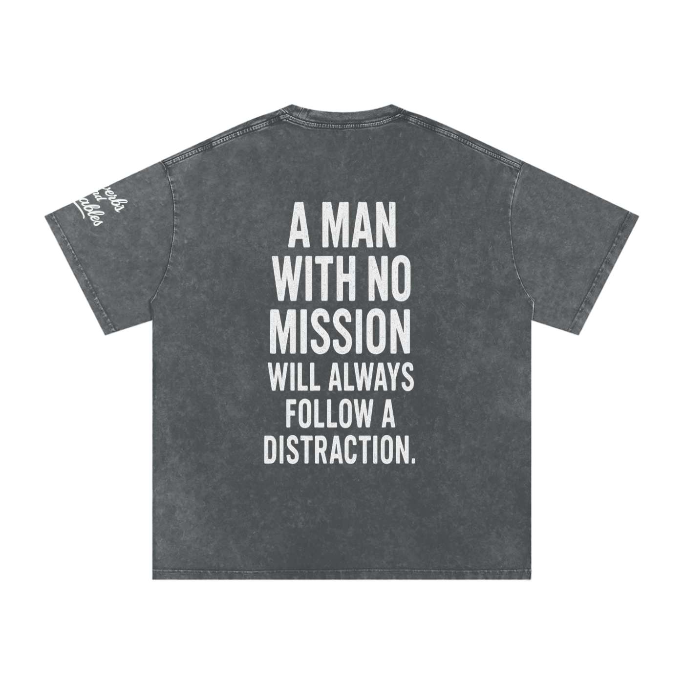 Proverbs & Parables Snow Washed Oversized Cotton Tee